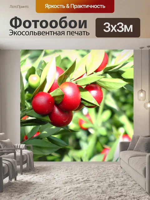 Фотообои Красные ягоды
