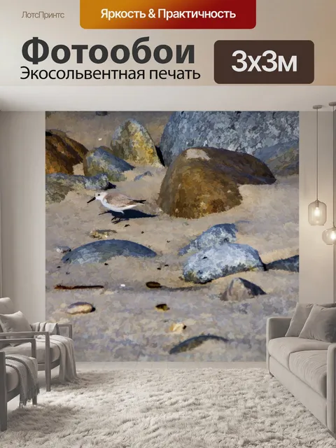Фотообои Морская птица