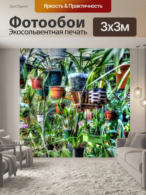 Фотообои Горшки растений