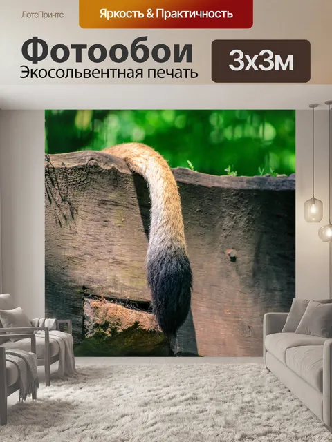 Фотообои Лев