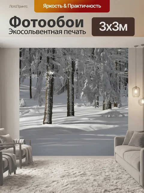 Фотообои Зима