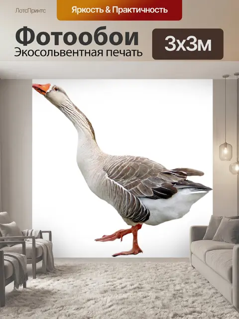 Фотообои Гусь