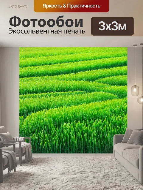 Фотообои япония показывают мирный утренний пейзаж с рисовыми полями, где роса сверкает на листьях