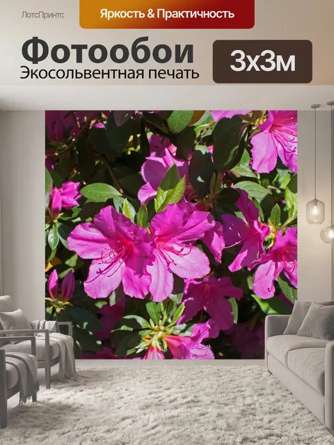 Фотообои Горячая розовая азалия