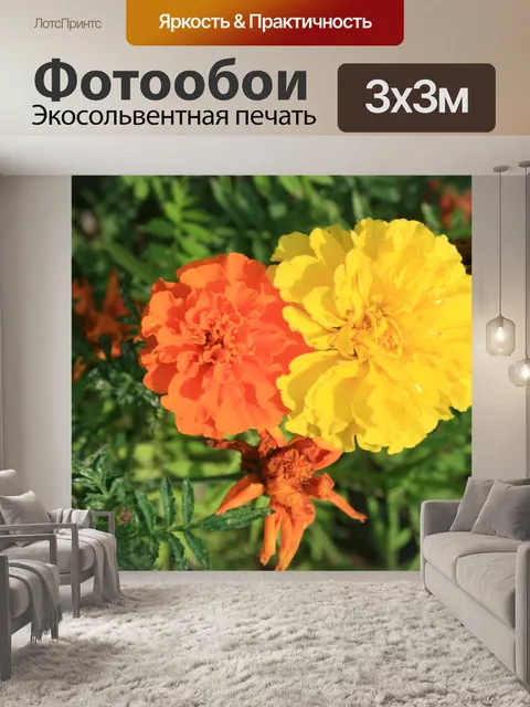 Фотообои желтые и оранжевые цветы календулы