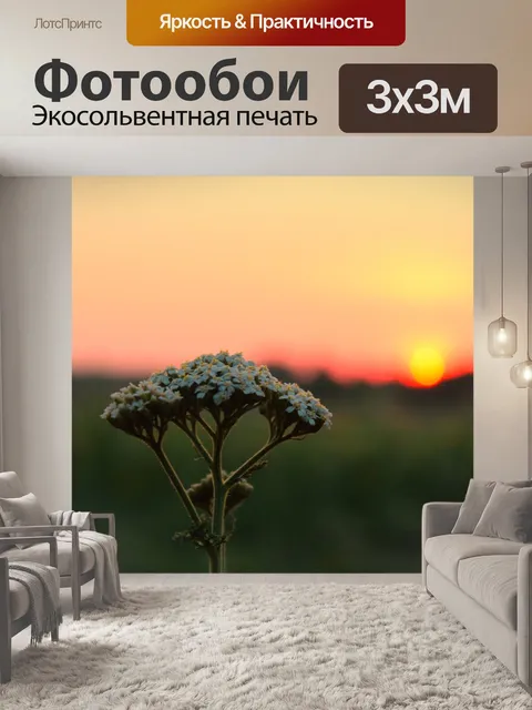 Фотообои Закат