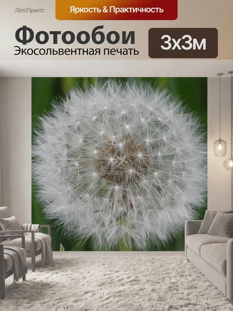 Фотообои Одуванчик