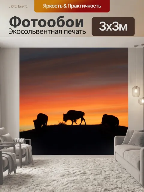 Фотообои Зубры Буффало на рассвете