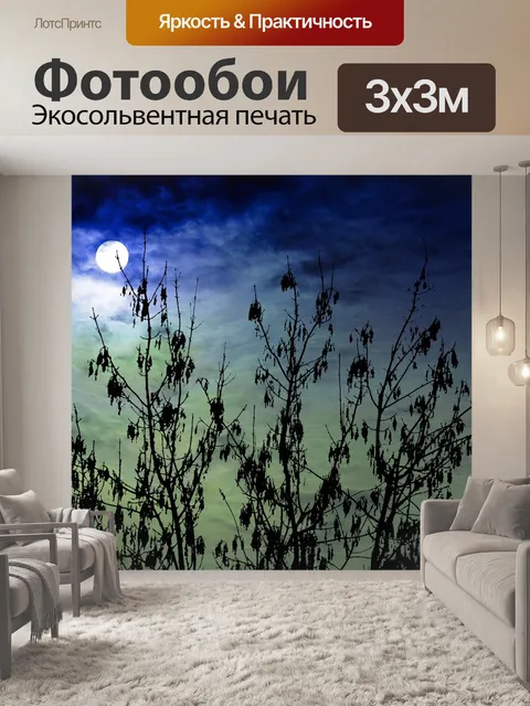 Фотообои Небеса