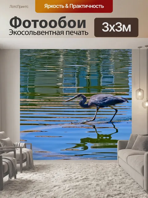 Фотообои Голубая цапля, стоящая на озере
