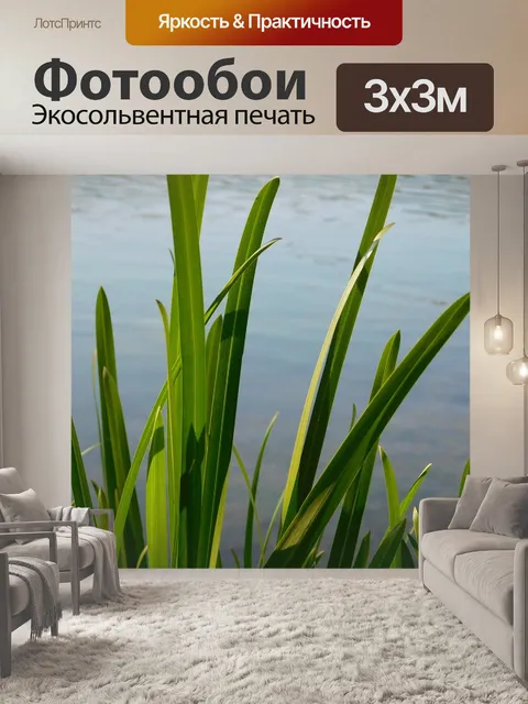 Фотообои Природа
