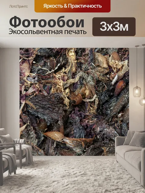 Фотообои Фон морской водоросли