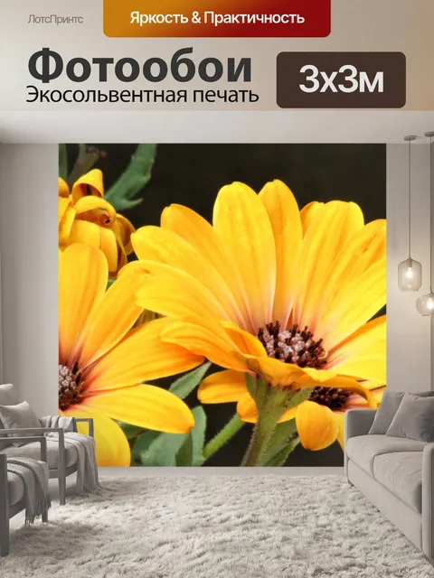 Фотообои Желтые африканские ромашки крупным плано