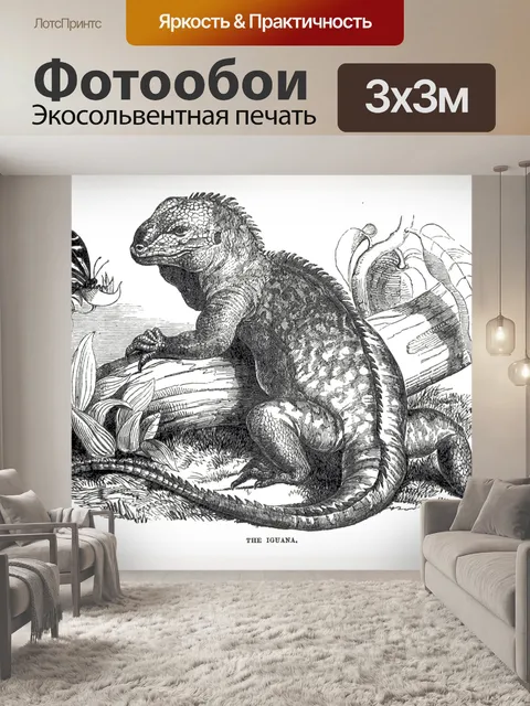 Фотообои Винтажная иллюстрация игуаны игуаны