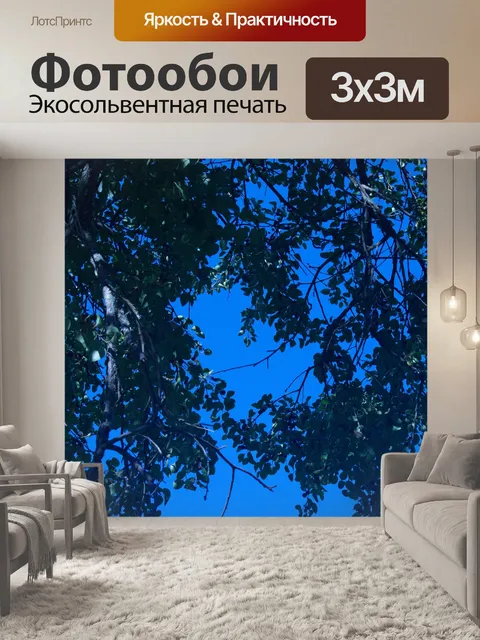 Фотообои ветви и листья шипа буйвола
