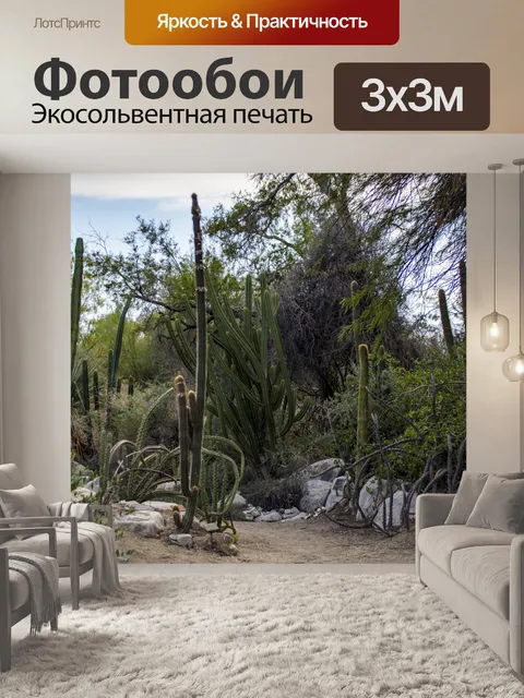 Фотообои Сад кактусов