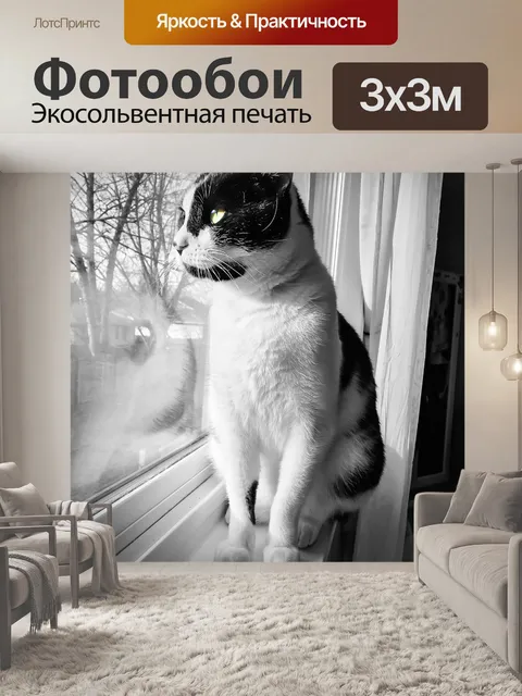 Фотообои Кошка