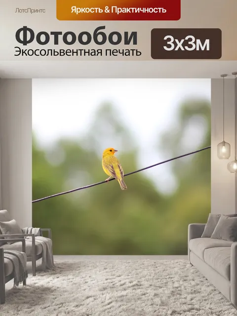 Фотообои Желтая канарейка