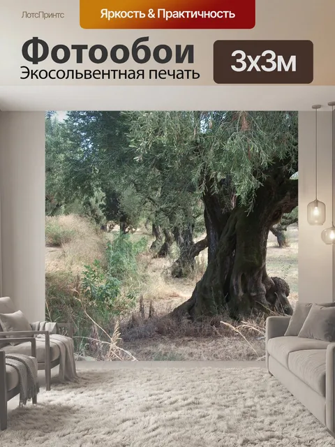 Фотообои Оливковые деревья