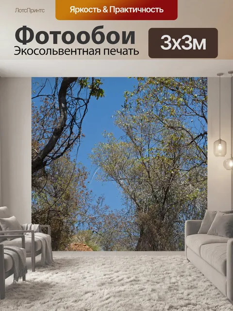 Фотообои ветка с новыми листьями над камнями