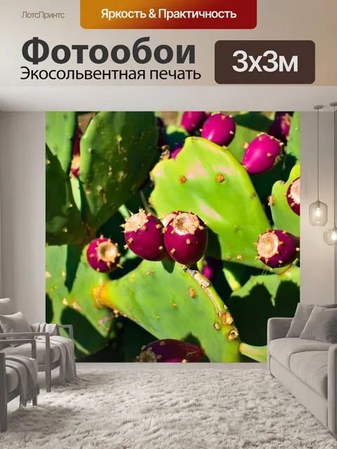 Фотообои Индийский инжир