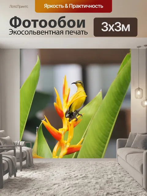Фотообои Птица