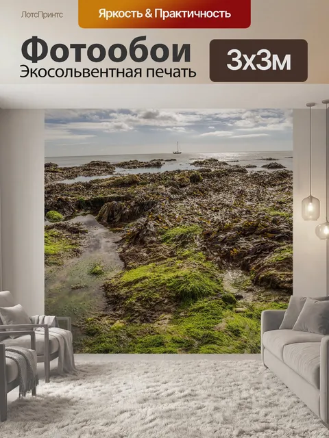 Фотообои Морские водоросли