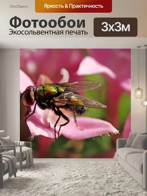 Фотообои Летать