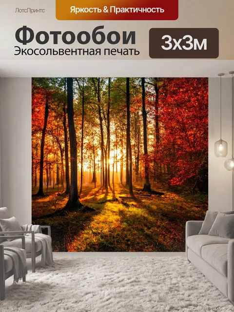 Фотообои лес во время заката, золотистый свет, длинные тени, вечерний покой, переливы красного и оранжевого на листве