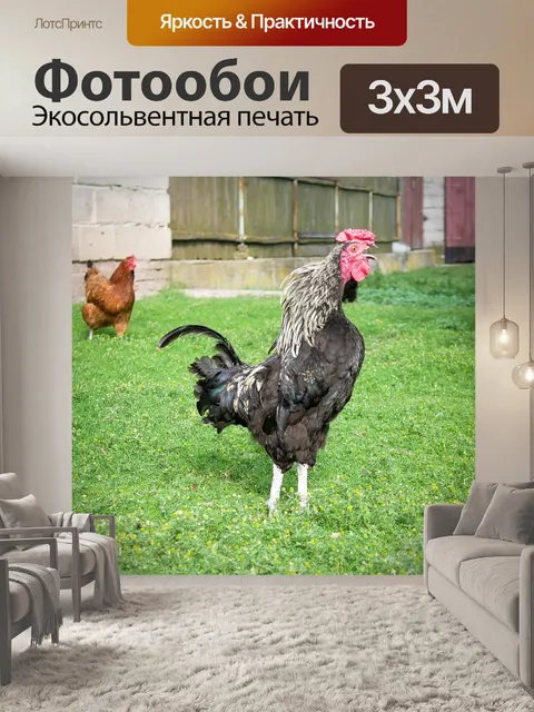 Фотообои Петух