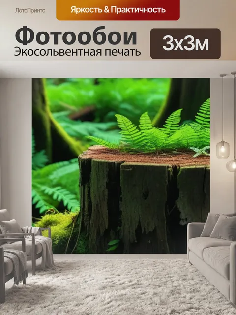 Фотообои папоротники на старых лесных пнях