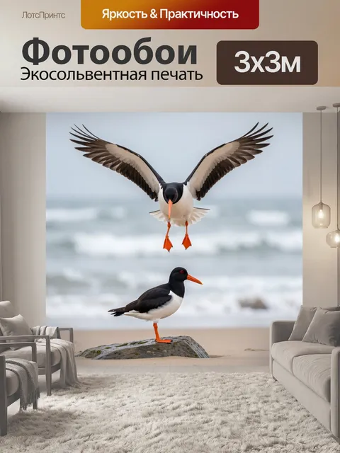 Фотообои Две черно-белые морские птицы