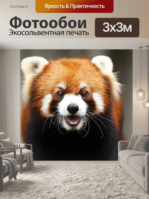 Фотообои Красная панда