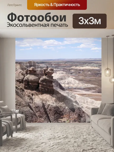 Фотообои Окаменевший лес национальный парк