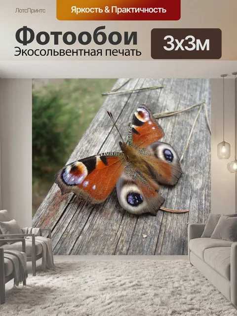 Фотообои Бабочка