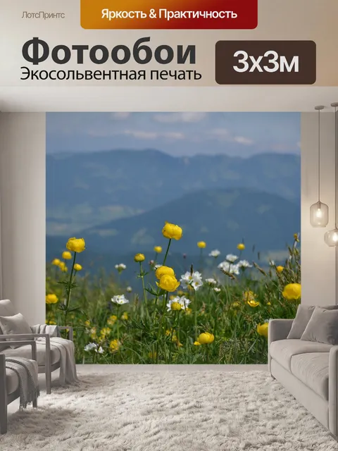 Фотообои Поле