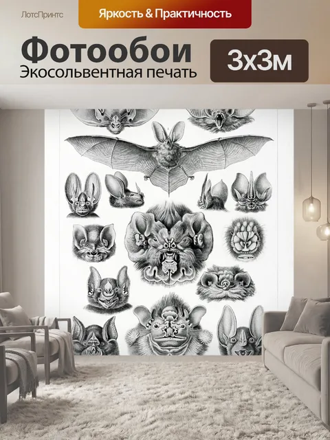 Фотообои Летучая мышь vintage art old