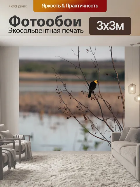 Фотообои Желтое крыло Blackbird