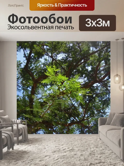 Фотообои солнечный свет на ветке с листьями
