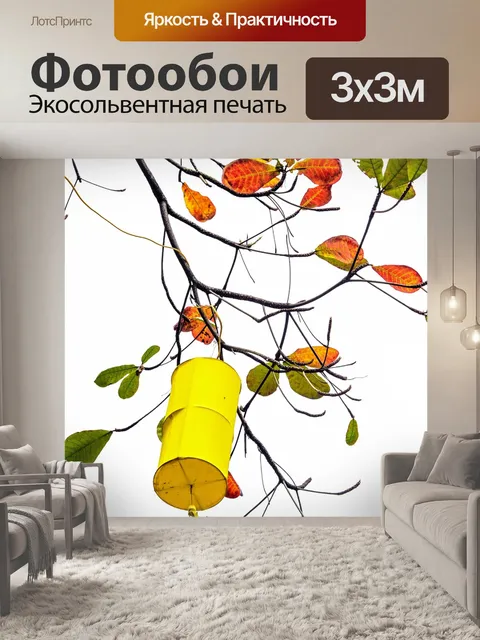 Фотообои Сезон красных листьев весной