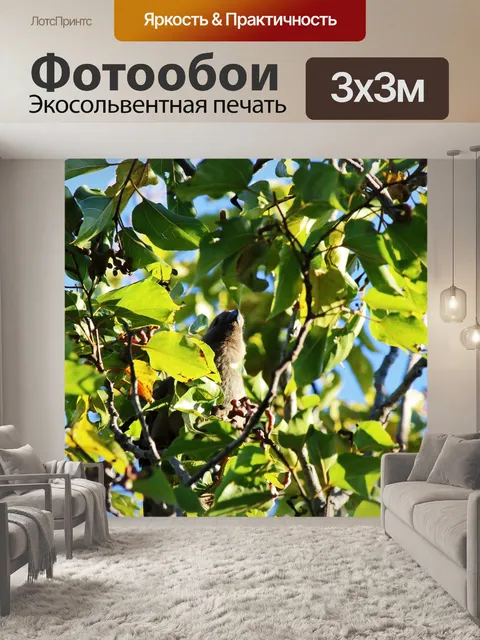 Фотообои серая мышь в зеленом дереве