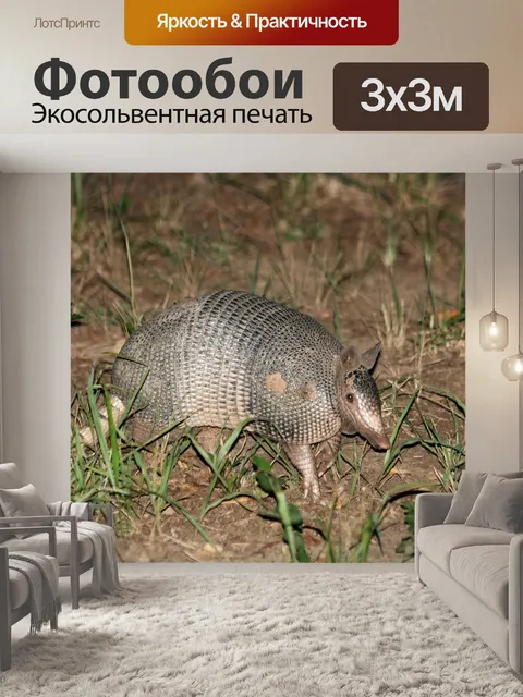 Фотообои Девять Banded Armadillo в ночное время