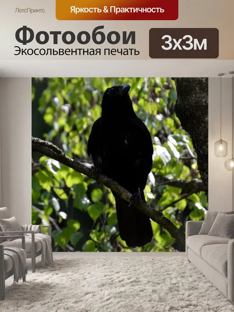 Фотообои Ворона