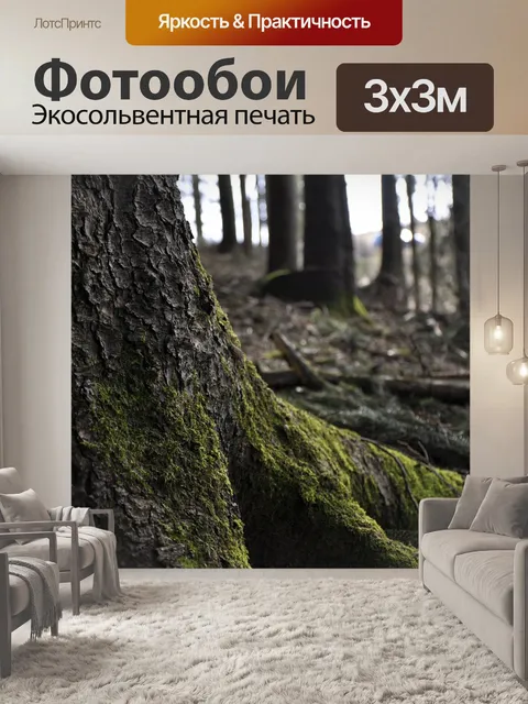 Фотообои Лес
