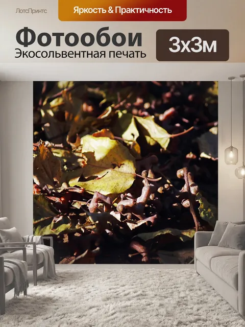 Фотообои опавшие листья японского изюма