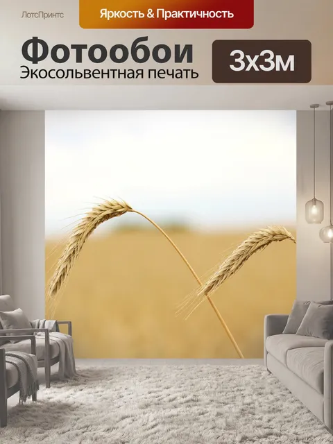 Фотообои Зерно