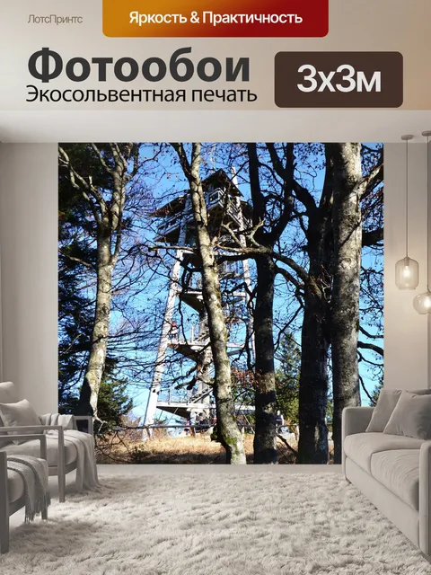 Фотообои Черный лес