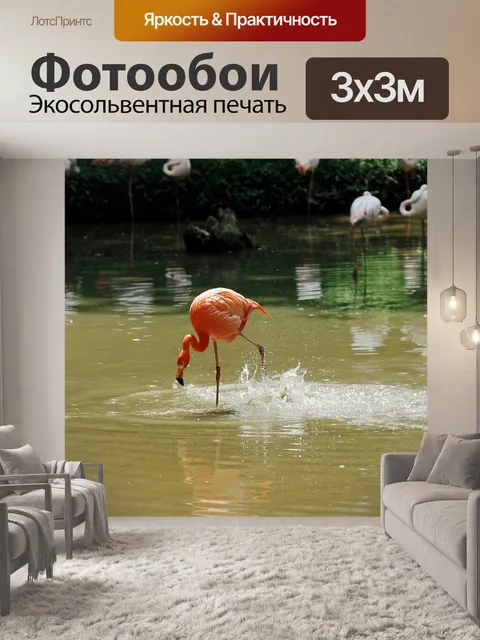 Фотообои Пеликан