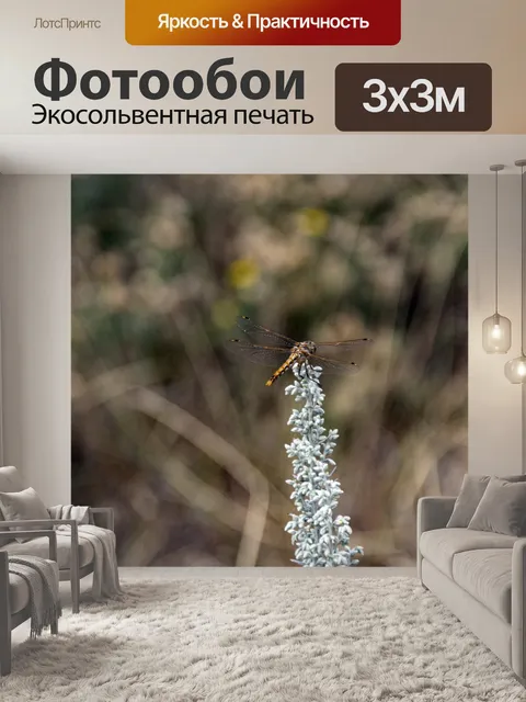 Фотообои стрекоза