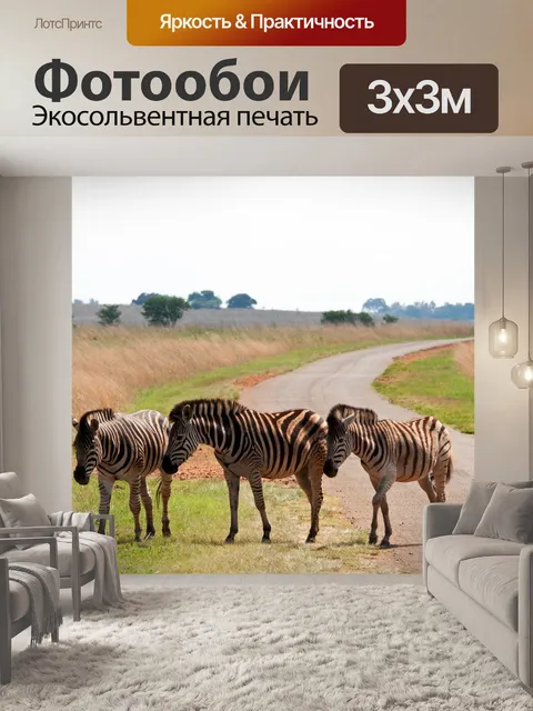 Фотообои зебра на обочине